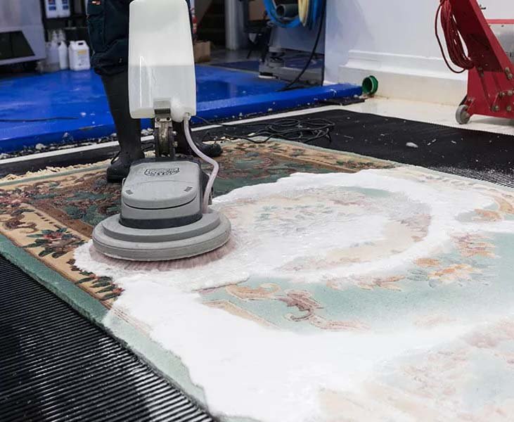 Limpeza, Lavagem e Higienização de Tapetes e Carpetes | NsClean Limpeza, Lavagem e Higienização de Tapetes e Carpetes | NsClean