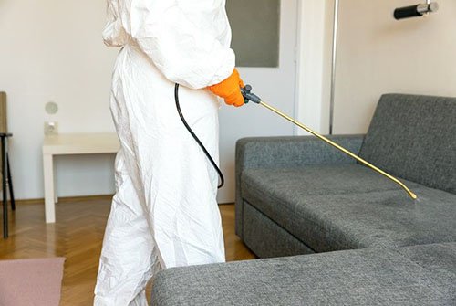 Sanitização de Ambientes | Limpeza, Higienização e Impermeabilização de Tecidos Sanitização de Ambientes | Limpeza, Higienização e Impermeabilização de Tecidos